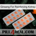 Ginseng For Reinforcing Kidney 27